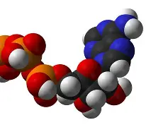 包含四中坚关键角色善用，球队齐心协力奏响胜利乐章的词条