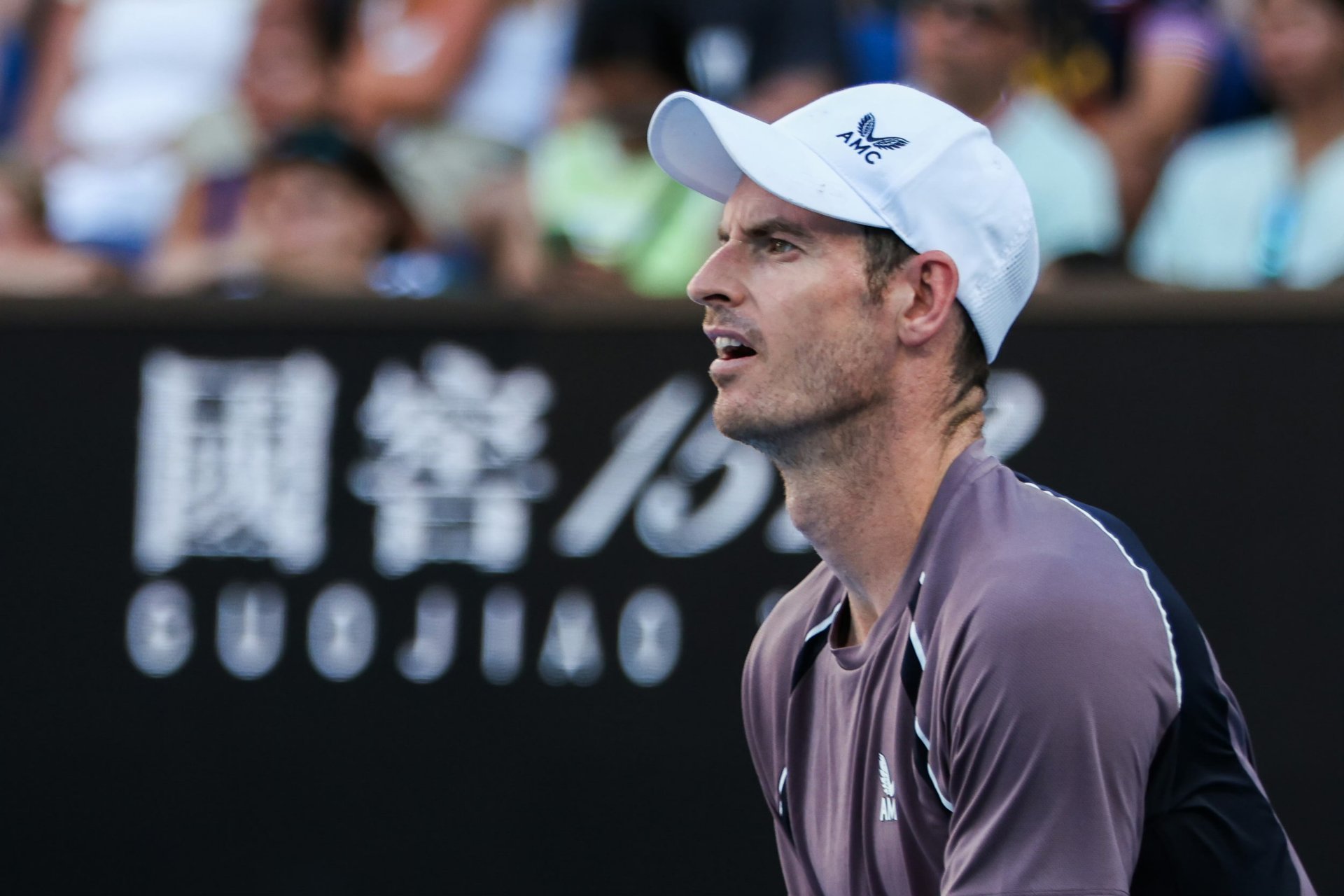 年终总决赛力克澳网，穆雷关键制胜的简单介绍