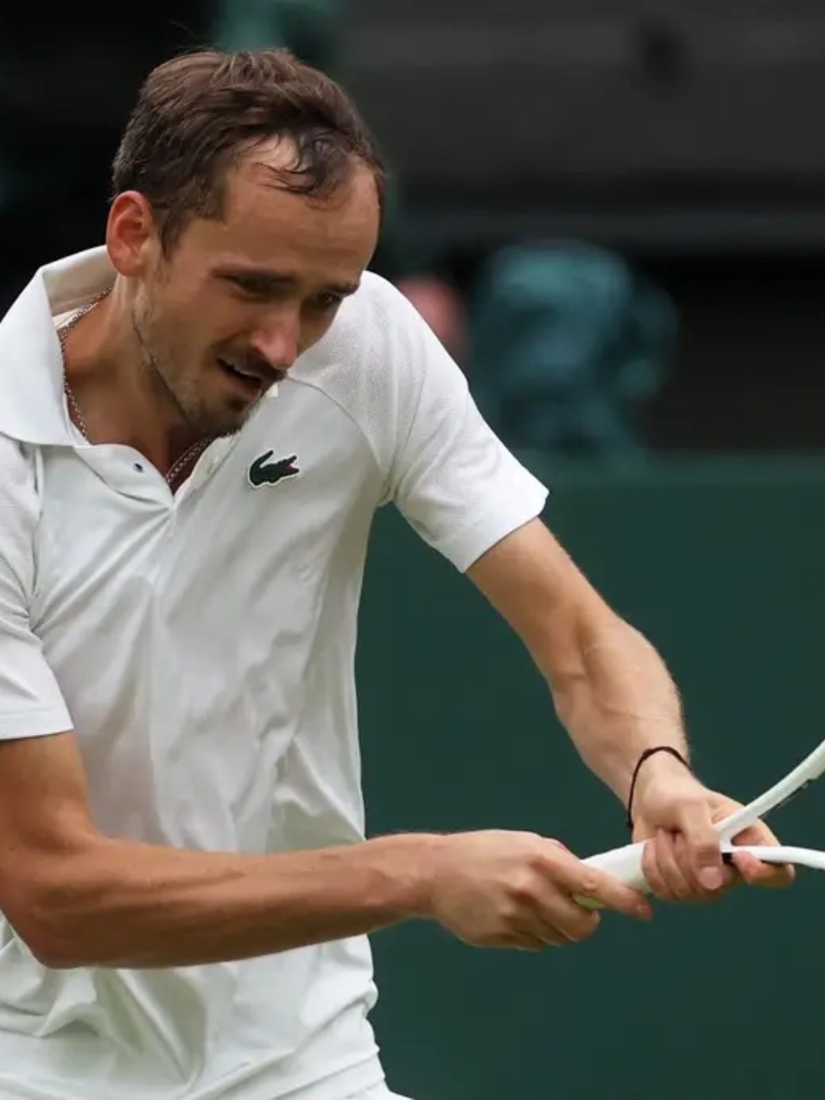 包含戴维斯杯碾压年终总决赛,梅德韦杰夫状态火热的词条 包含戴维斯杯碾压年终总决赛,梅德韦杰夫状态火热的词条